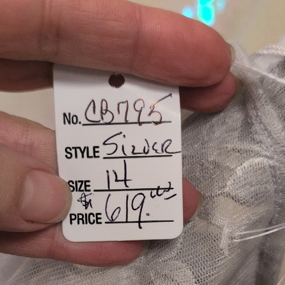 Elegant Silver Lace Long Sleeve Dress - Picture 5 of 11